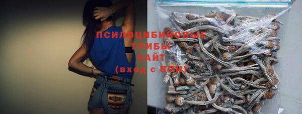 ешки Дмитриев