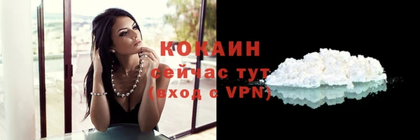 мдпв Калининец