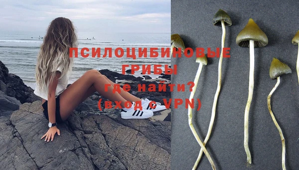 a pvp Елизово